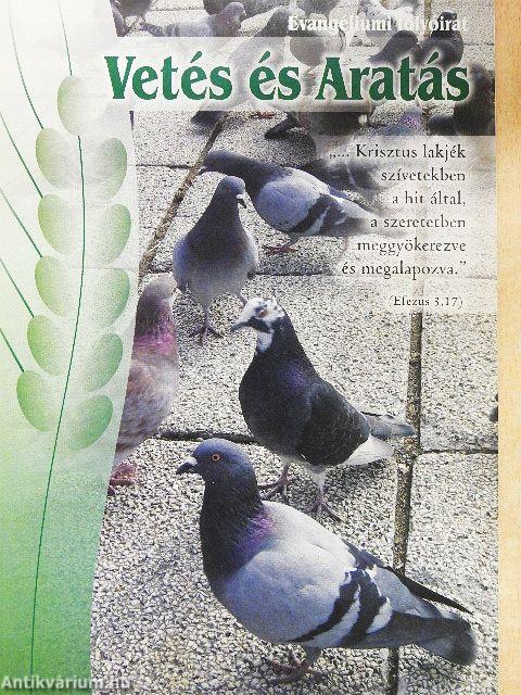 Vetés és Aratás 2009/1