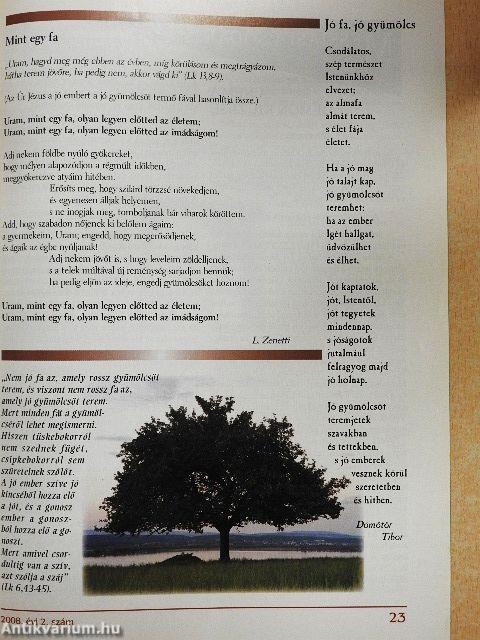 Vetés és Aratás 2008/2