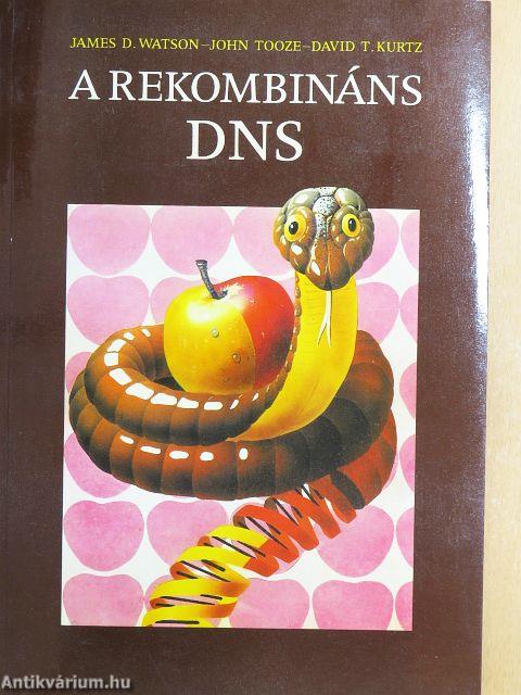 A rekombináns DNS