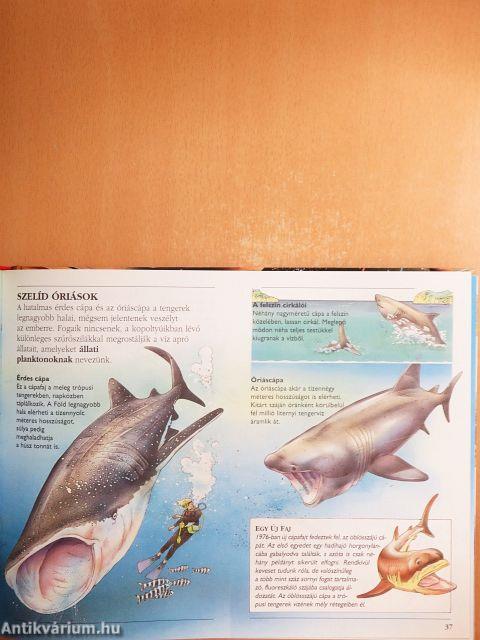 A természet képes enciklopédiája