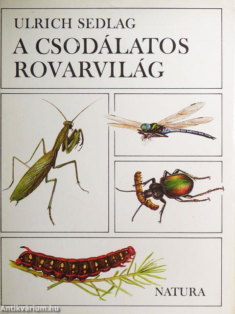 A csodálatos rovarvilág