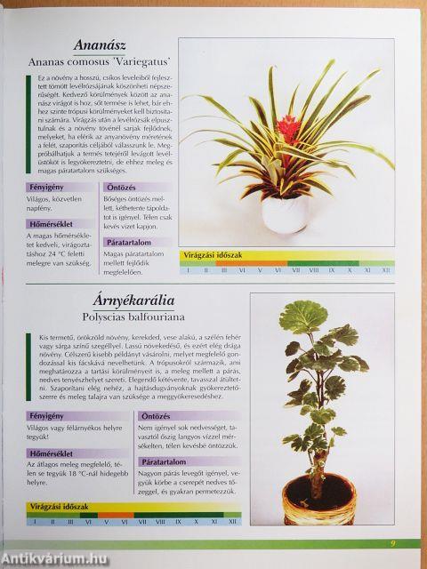 Otthonunk növényei