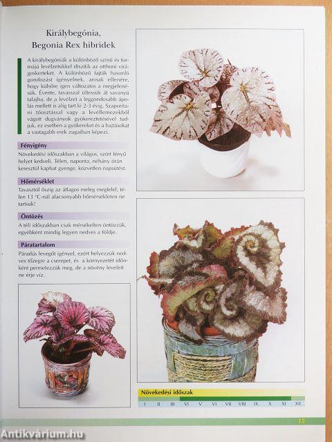 Otthonunk növényei