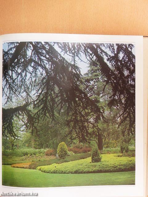 A kert élő díszei