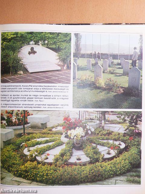 A kert élő díszei