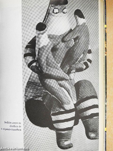 Brazíliai barangolások