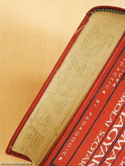 Román-magyar iskolai szótár