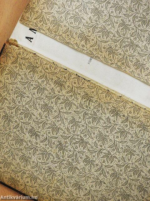 A művészet kis tükre (rossz állapotú)