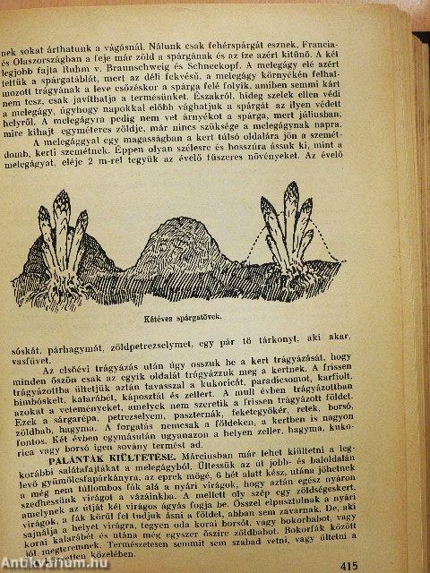 A család tanácsadója (rossz állapotú)