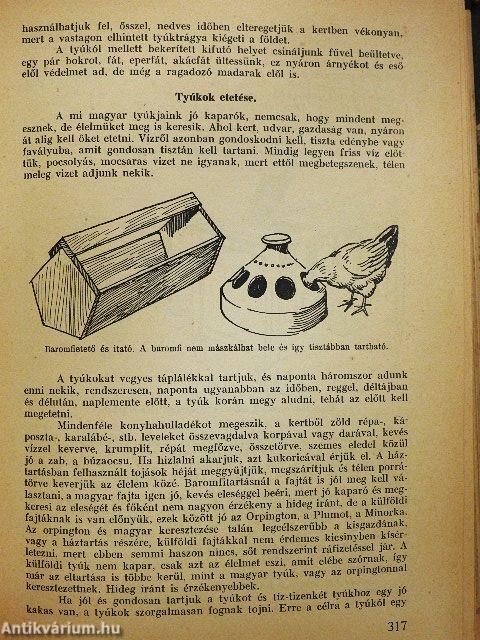 A család tanácsadója (rossz állapotú)