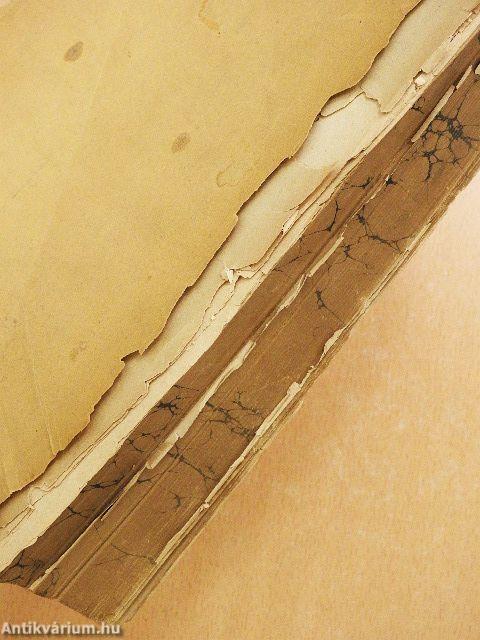 A leiró emberboncztan kézikönyve II. (töredék) (rossz állapotú)