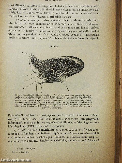 A leiró emberboncztan kézikönyve II. (töredék) (rossz állapotú)