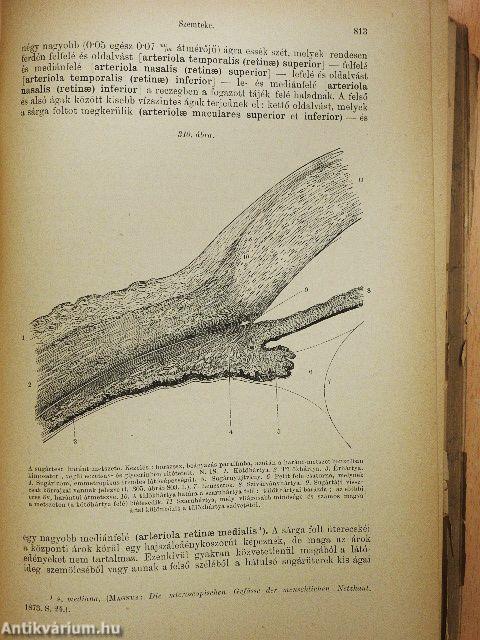 A leiró emberboncztan kézikönyve II. (töredék) (rossz állapotú)