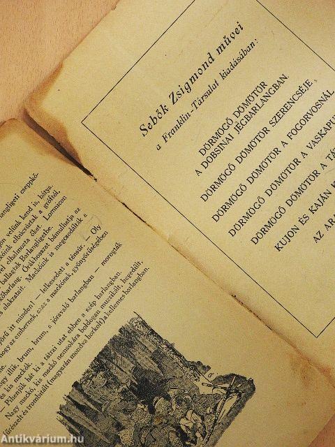 Dörmögő Dömötör a Tátrában (rossz állapotú)