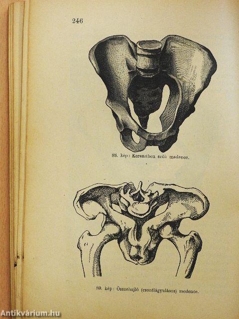 Magyar bábakönyv a bábai hivatás gyakorlásáról (rossz állapotú)