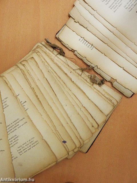 Arany ládika (rossz állapotú)