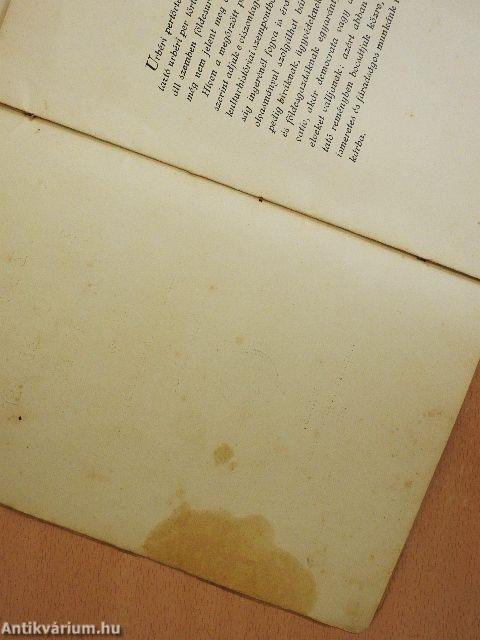 Az ecsedi százéves urbéri per története (rossz állapotú)