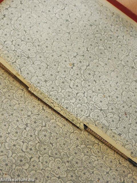 Strogoff Mihály utazása (rossz állapotú)