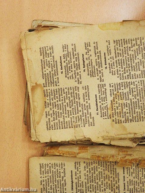 A Hirlap szakácskönyve (rossz állapotú)