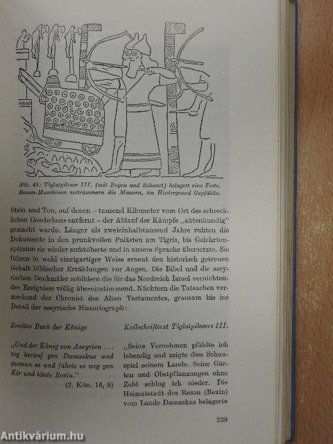 Und die Bibel hat doch recht