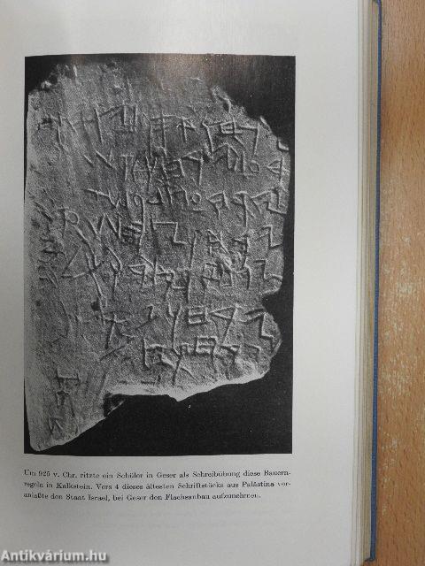 Und die Bibel hat doch recht