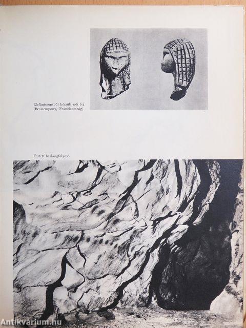 Muta, a barlang lánya/A földkéreg-akció