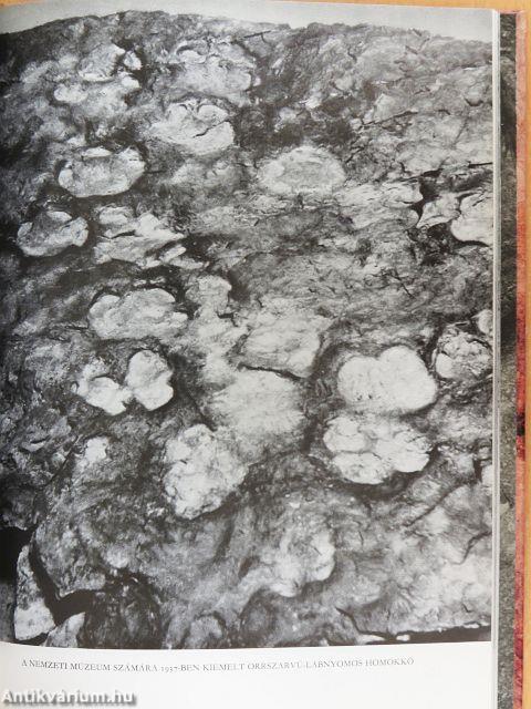 Expedíció az időben