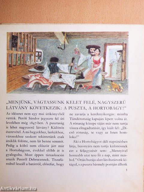 Amiről a puszta mesél