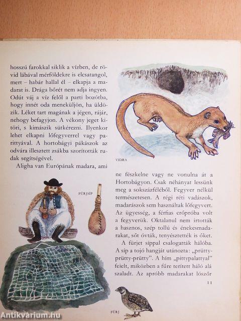 Amiről a puszta mesél