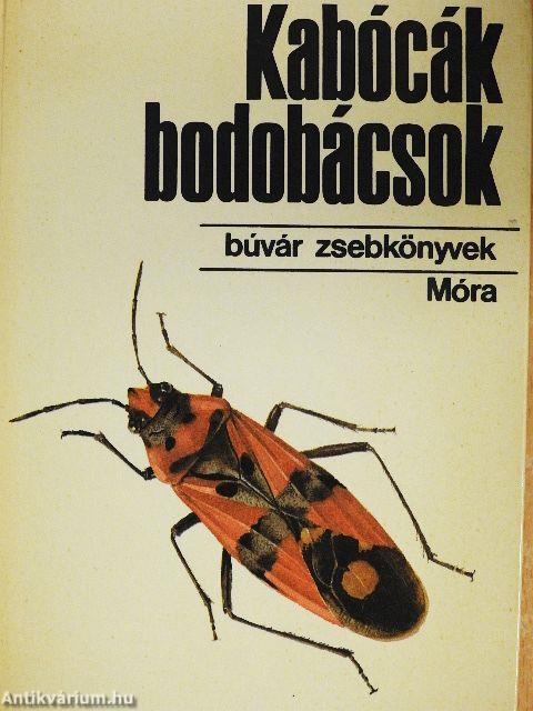 Kabócák, bodobácsok