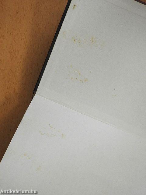 Az Univerzum örökösei