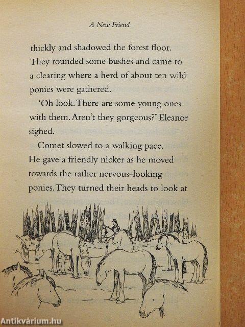 Magic Ponies - A New Friend