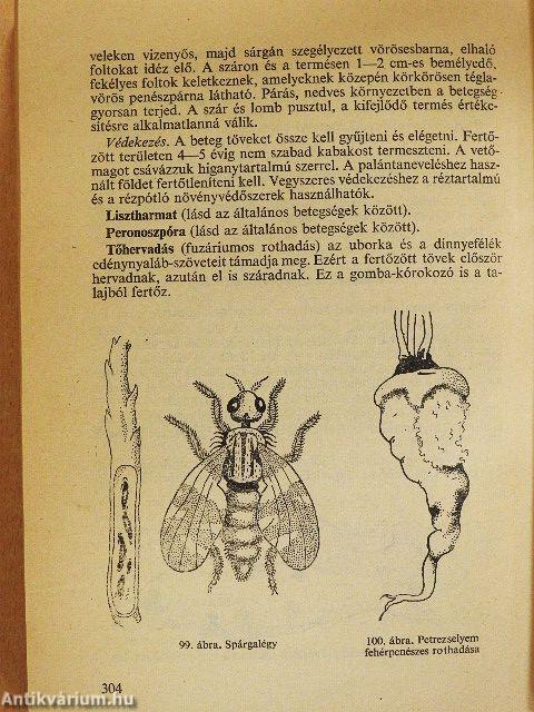 Zöldségtermesztés