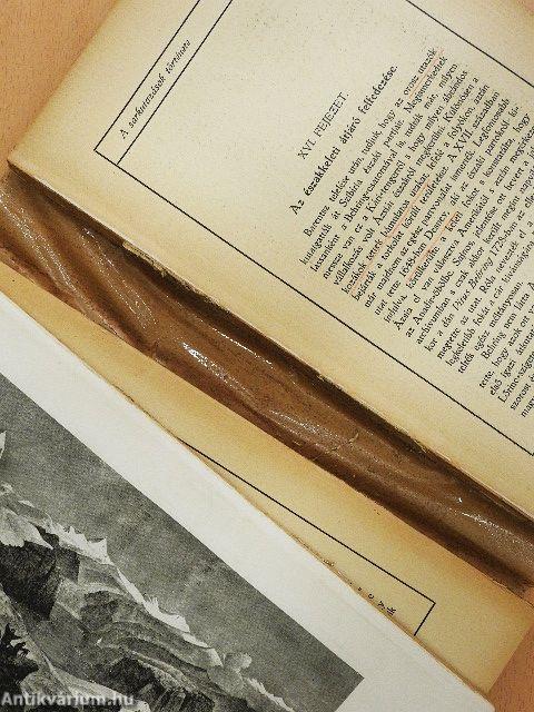 A jég-világ (rossz állapotú)