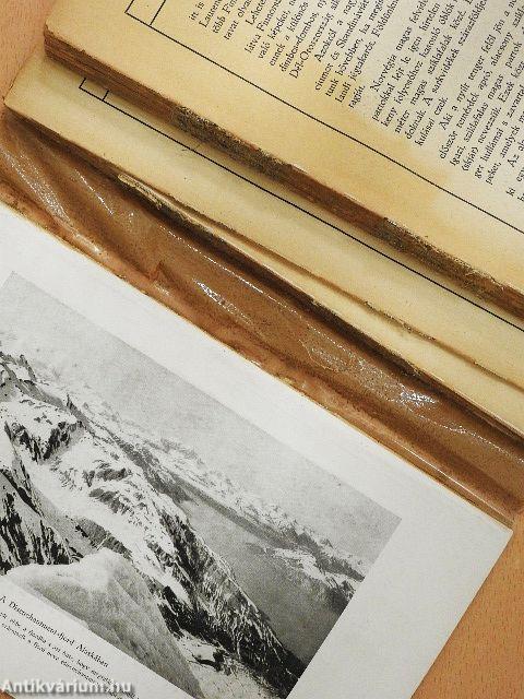 A jég-világ (rossz állapotú)