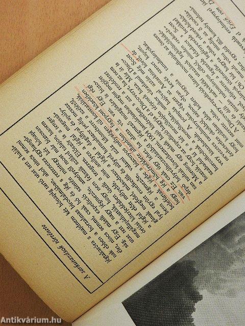 A jég-világ (rossz állapotú)