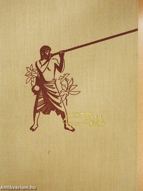 A fejvadászok földjén