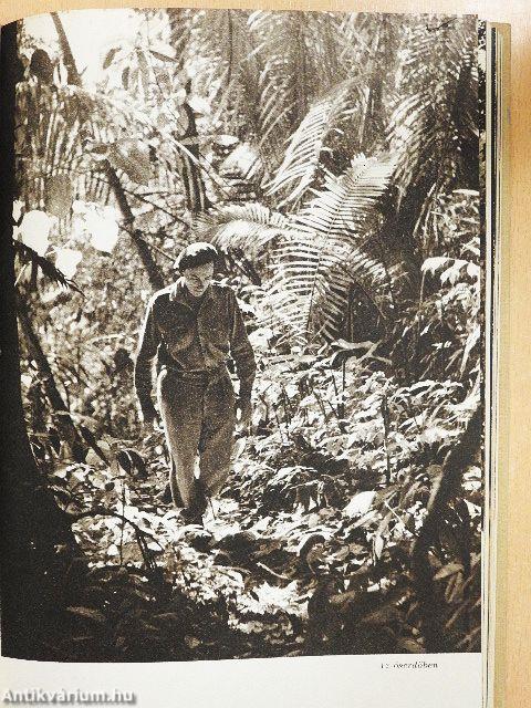 A fejvadászok földjén