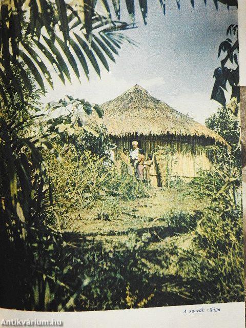 A fejvadászok földjén