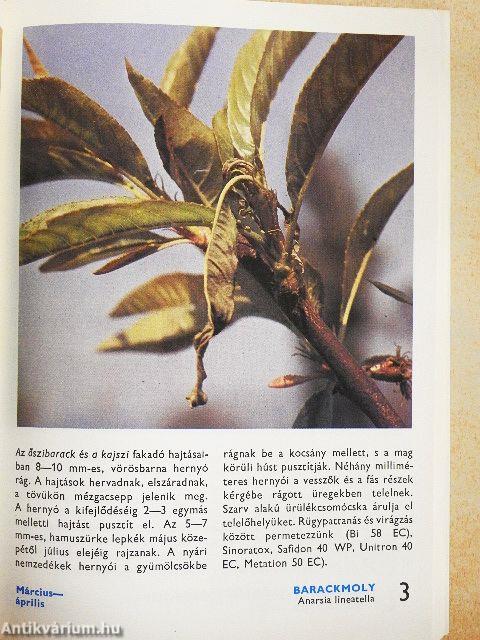 A kerti károsítókról