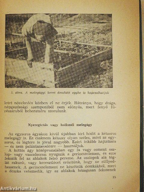 Zöldségfélék korai termesztése