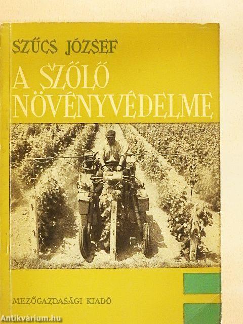 A szőlő növényvédelme