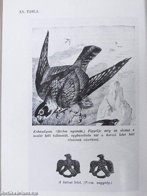 A magyarság és Középkelet