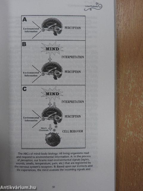 The Honeymoon Effect