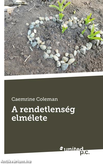 A rendetlenség elmélete