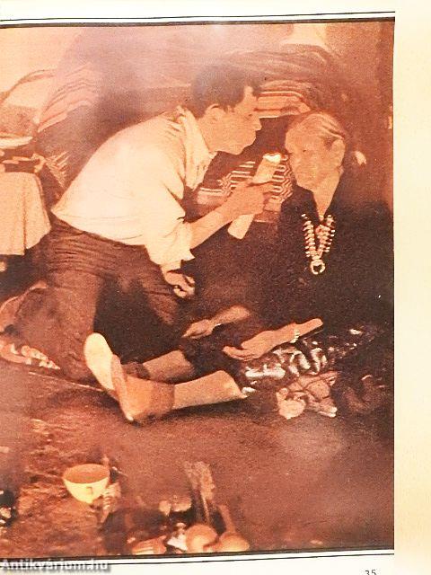 IPM 1981. (nem teljes évfolyam)