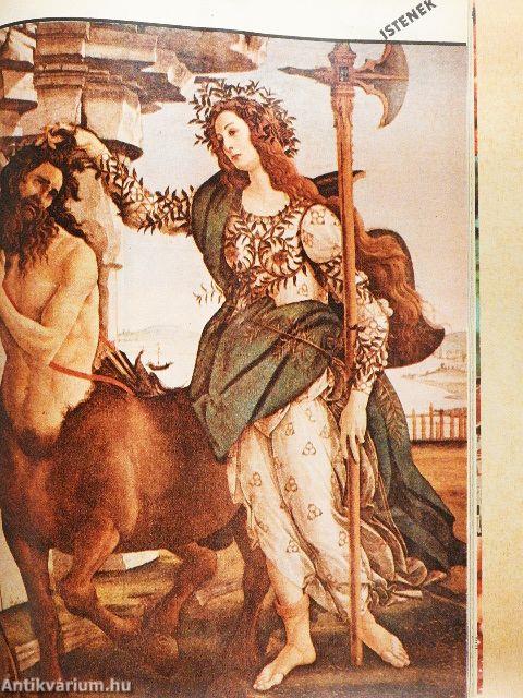 IPM 1981. (nem teljes évfolyam)