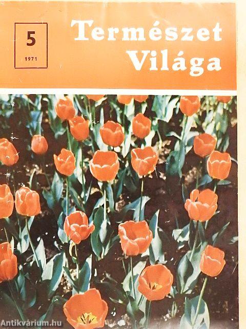 Természet Világa 1971. május