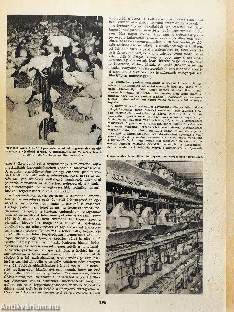 Természet Világa 1976. július