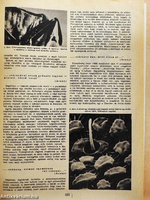Természet Világa 1976. május
